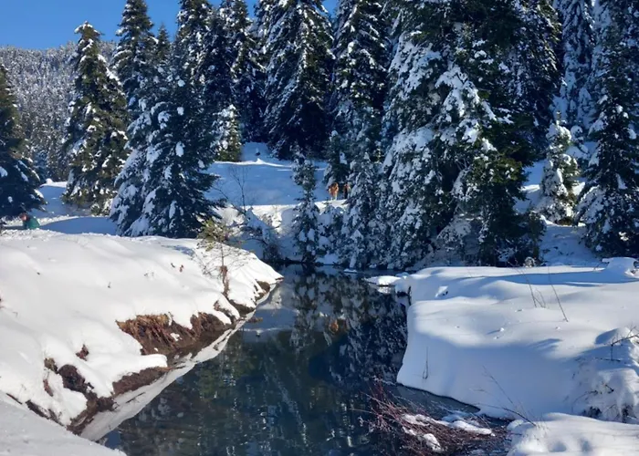 Apartment Gaia House-trikala